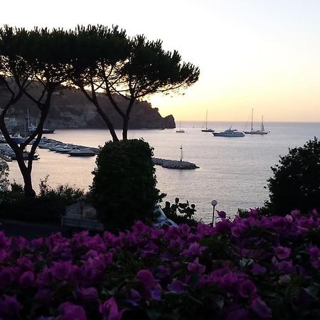 Giardino Mediterraneo Lacco Ameno  Εξωτερικό φωτογραφία
