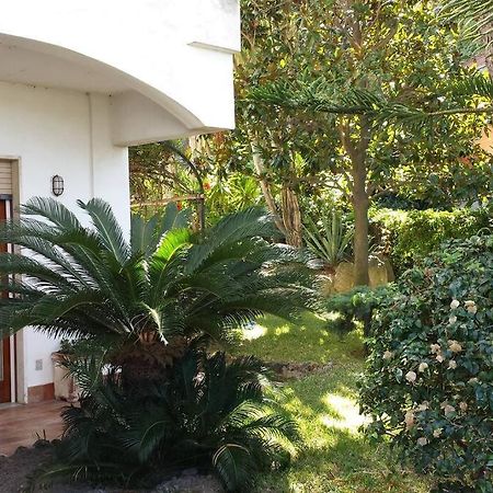 Giardino Mediterraneo Lacco Ameno  Εξωτερικό φωτογραφία