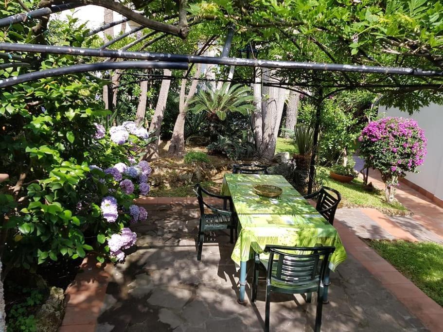 Giardino Mediterraneo Lacco Ameno  Εξωτερικό φωτογραφία