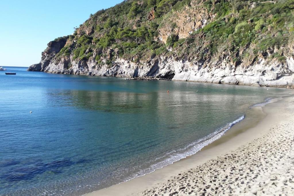 Giardino Mediterraneo Lacco Ameno  Εξωτερικό φωτογραφία