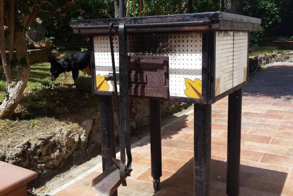 Giardino Mediterraneo Lacco Ameno  Εξωτερικό φωτογραφία