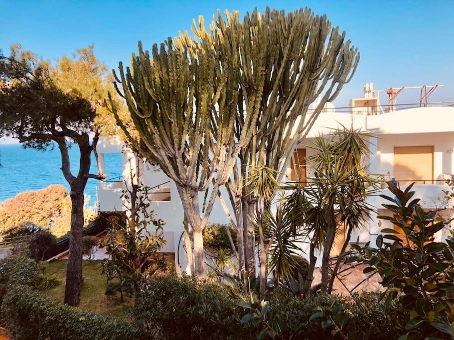 Giardino Mediterraneo Lacco Ameno  Εξωτερικό φωτογραφία