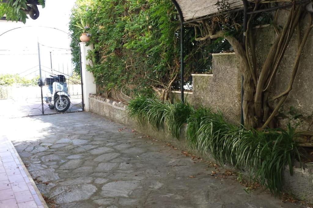 Giardino Mediterraneo Lacco Ameno  Εξωτερικό φωτογραφία